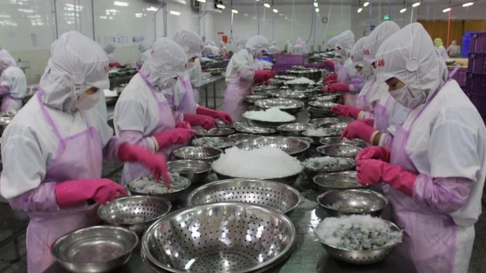 Vietnam remains third-largest seafood supplier to Singapore